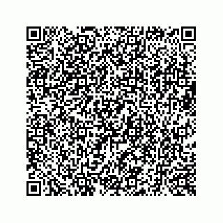 vCard 73519398655
