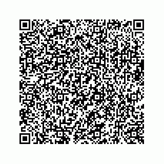 vCard 73519398663