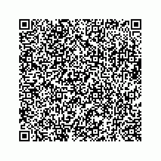 vCard 73519398671