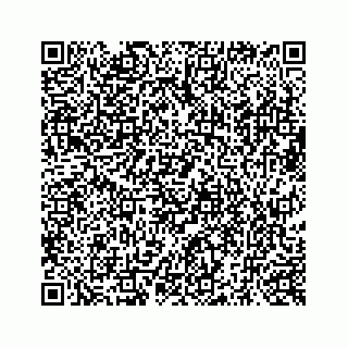 vCard 73519398679