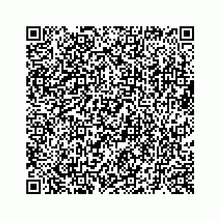 vCard 73519398681