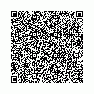 vCard 73519398697