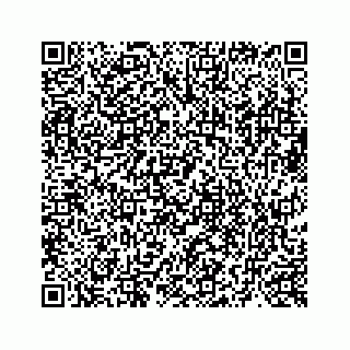 vCard 73519398699