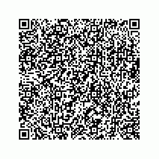 vCard 73519398703