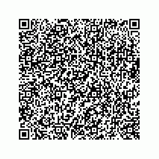 vCard 73519398704