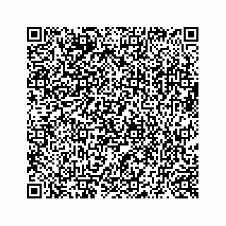 vCard 73519398705