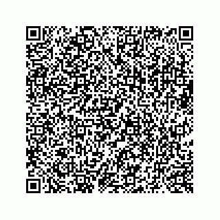vCard 73519398706