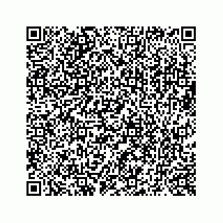 vCard 73519398707