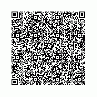 vCard 73519398709