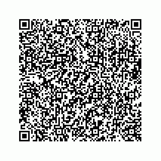 vCard 73519398713