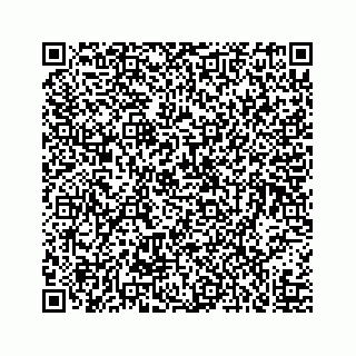 vCard 73519398717