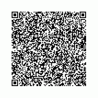 vCard 73519398720