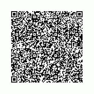 vCard 73519398721
