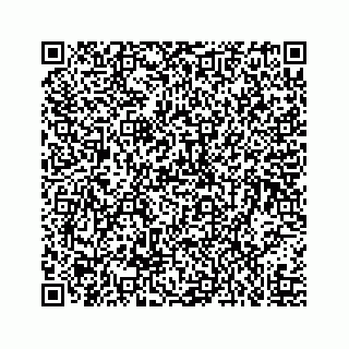 vCard 73519398724