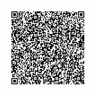 vCard 73519398725
