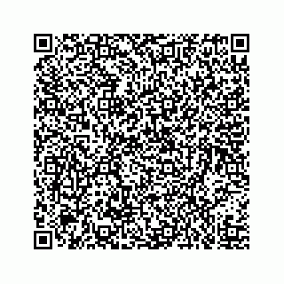 vCard 73519398727