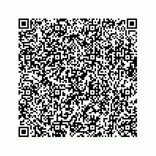vCard 73519398729