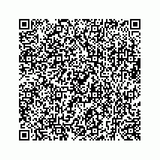 vCard 73519398731