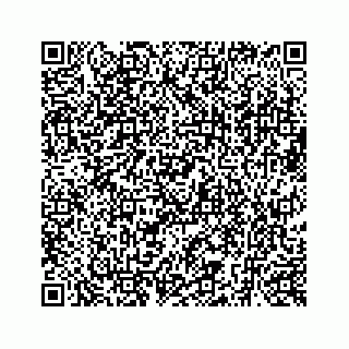 vCard 73519398732