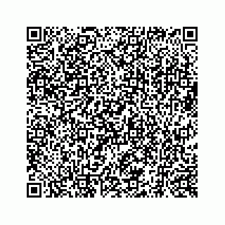 vCard 73519398762