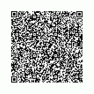 vCard 73519398779