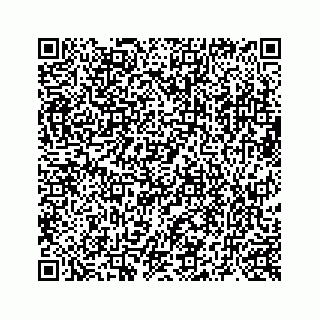 vCard 73519398781