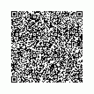 vCard 73519398784