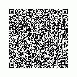 vCard 73519398785