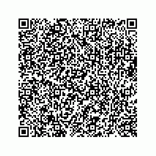 vCard 73519398787