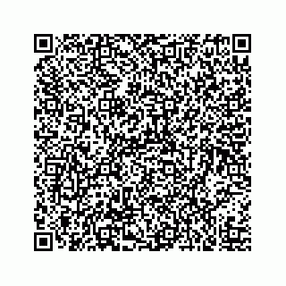 vCard 73519398791