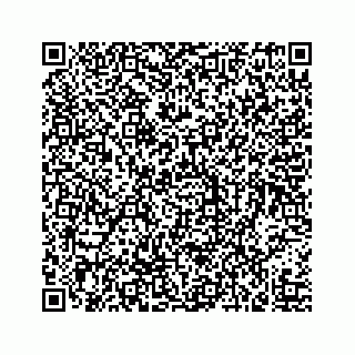 vCard 73519398793