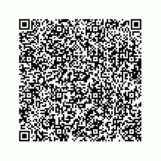 vCard 73519398795