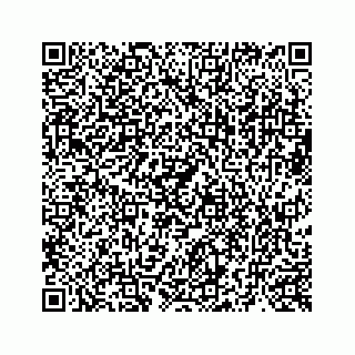 vCard 73519398796