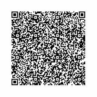 vCard 73519398799