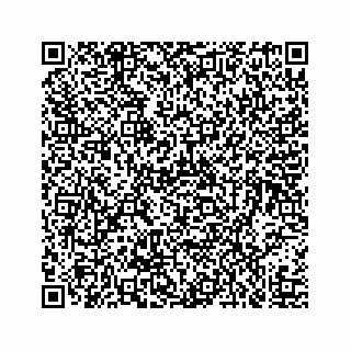 vCard 73519398803
