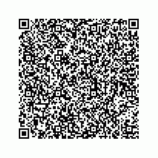 vCard 73519398805