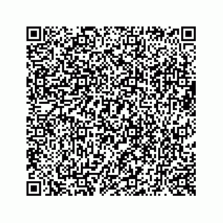 vCard 73519398809
