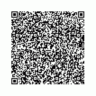 vCard 73519398810