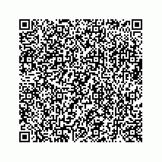 vCard 73519398813