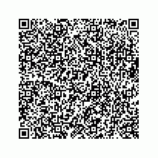 vCard 73519398817