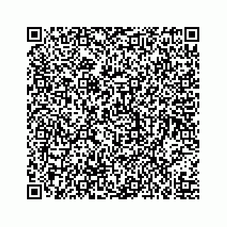 vCard 73519398821
