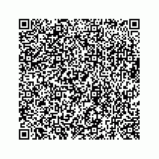 vCard 73519398825