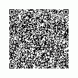 vCard 73519398829