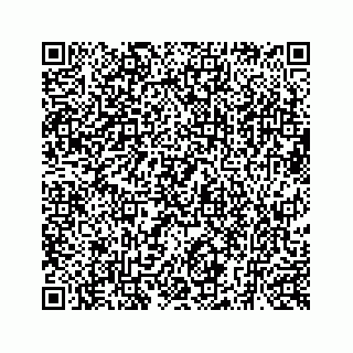 vCard 73519398837