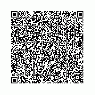 vCard 73519398838