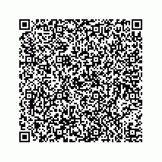 vCard 73519398844