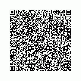 vCard 73519398845