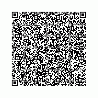 vCard 73519398847