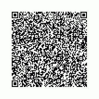 vCard 73519398861
