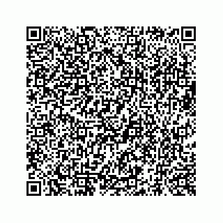 vCard 73519398862